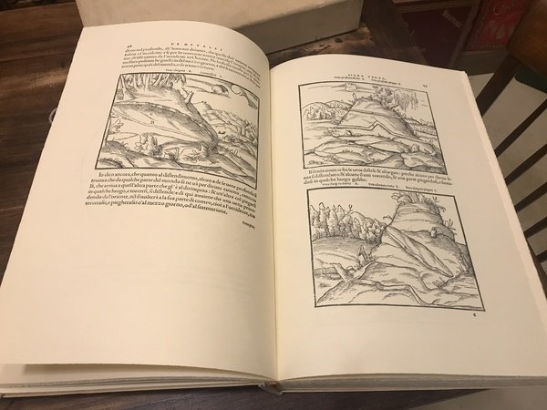 L'arte de' metalli tradotto in lingua toscana da Michelangelo Florio …