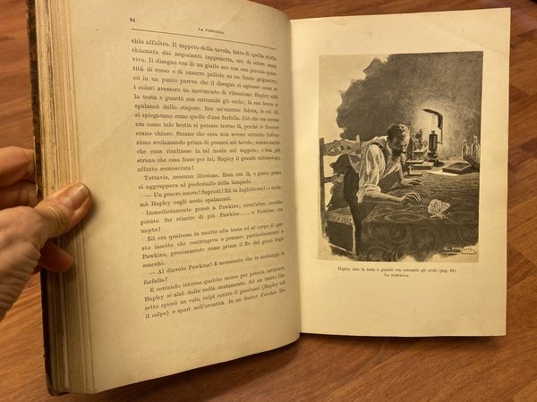Novelle straordinarie.