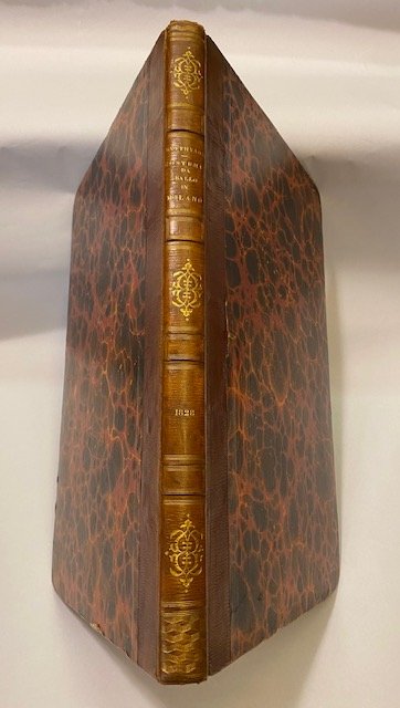 Costumi Vestiti alla Festa da Ballo data in Milano dal …