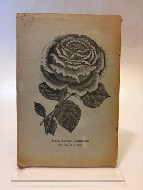 Le Rose. | Immagine principale
