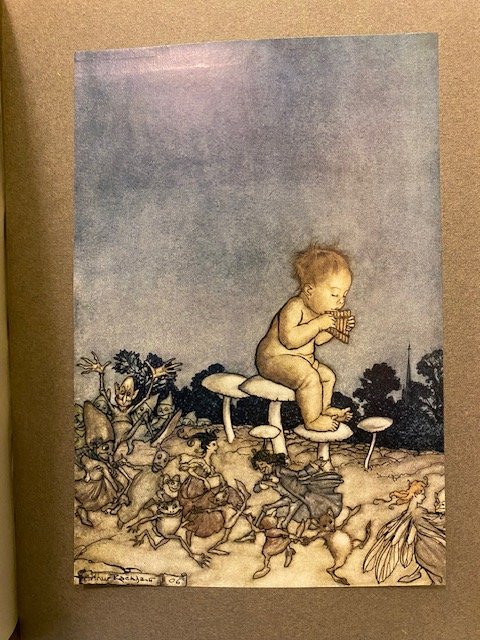 Peter Pan in Kensington Gardens with drawings by Arthur Rackham.