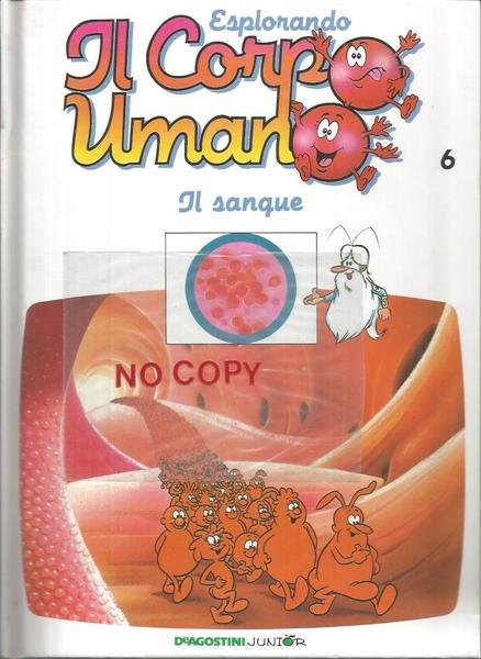 ESPLORANDO IL CORPO UMANO | Immagine Gallery 1