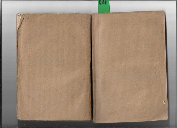 Descrizione delle ruine di Pompei.