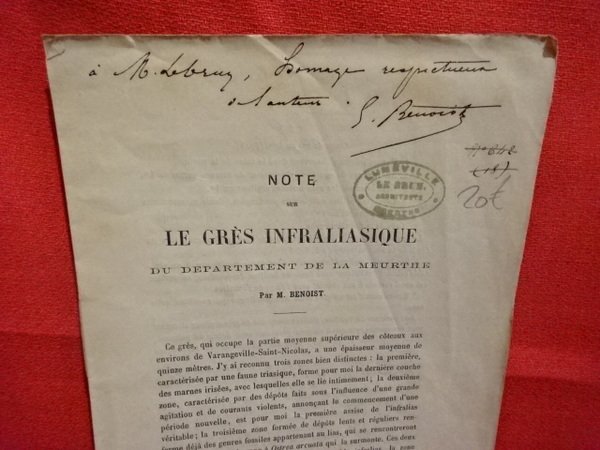 Note sur le grès infraliasique du département de la Meurthe.