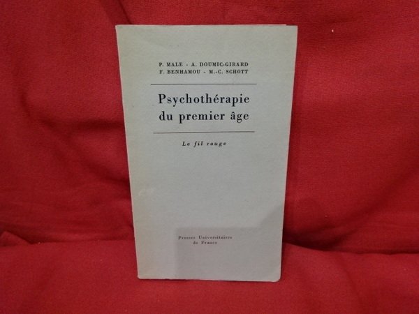 Psychothérapie du premier âge, de la théorie à la pratique.
