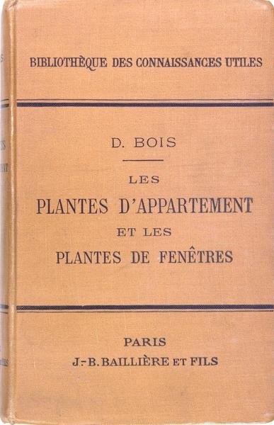 Les plantes d’appartement et les plantes de fenêtres