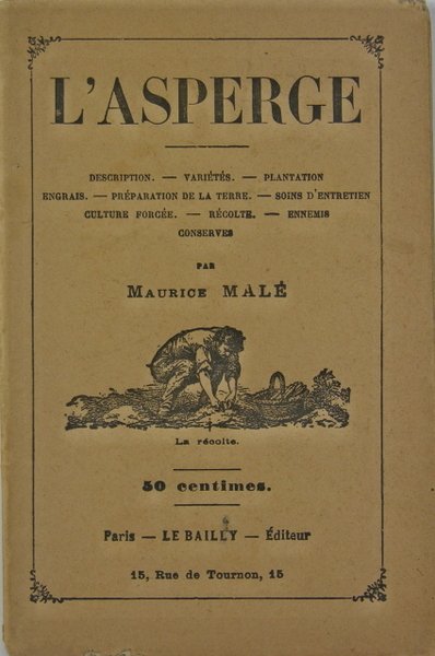 L’asperge