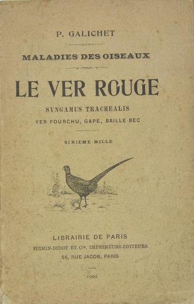 Maladie des oiseaux - le ver rouge - syngamus trachealis …