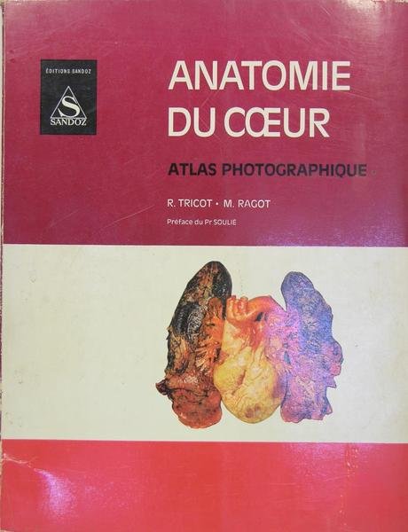 Anatomie du coeur - atlas photographique