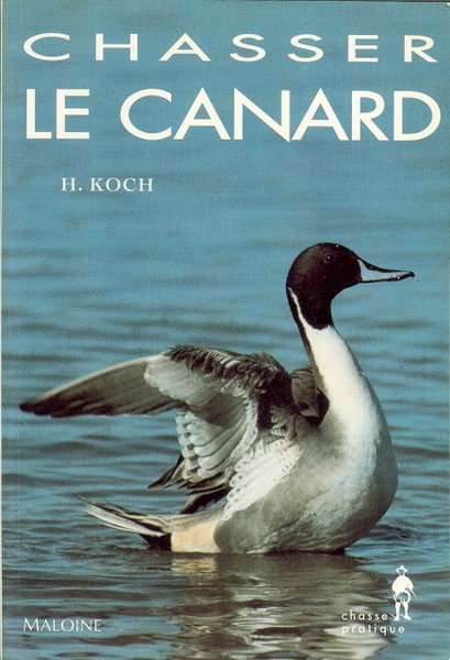 Chasser le canard