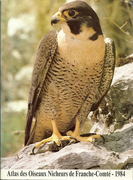 Atlas ornithologique de Franche Comté