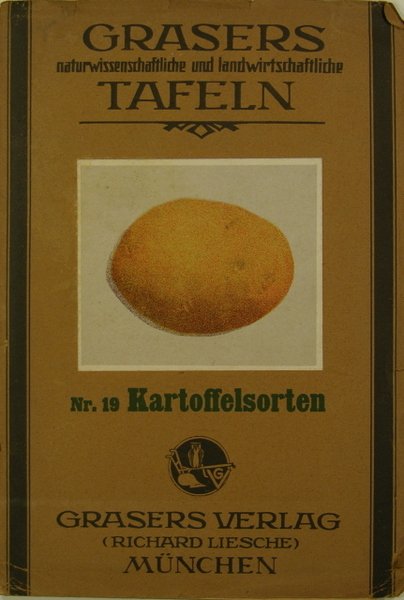 (Affiche) Kartoffelsorten (espèces de pommes de terre) N°19