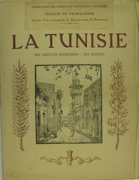 La Tunise, ses aspects indiègnes - ses ruines
