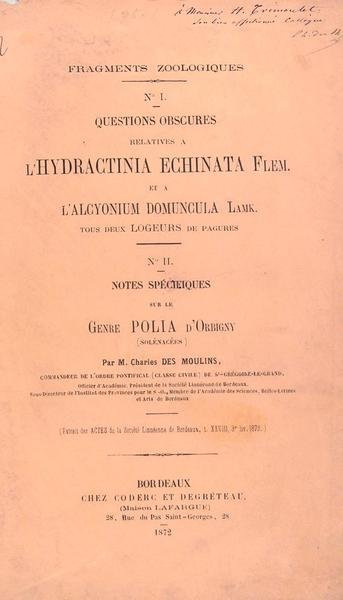 Fragments zoologiques N°1 - Questions obscures relatives à l'Hidractinia Echinata …
