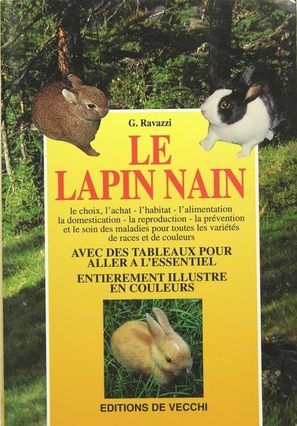 Le Lapin nain