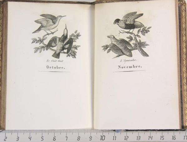 Almanach dédié aux Dames pour l'an 1820