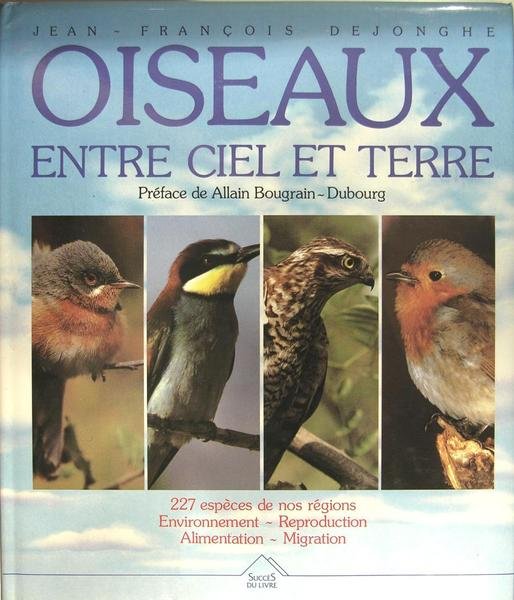 Oiseaux entre ciel et terre