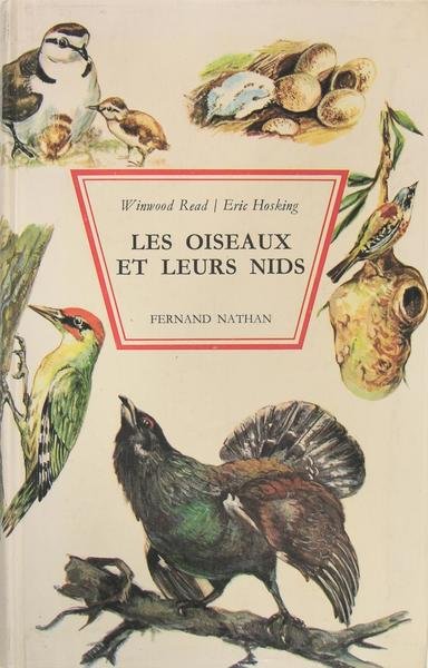 Les oiseaux, et leurs nids - Reproduction, oeufs et jeunes.