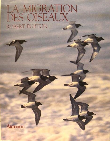 La migration des oiseaux.