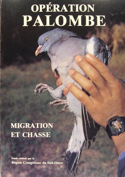 Opération Palombe - Migration et chasse.