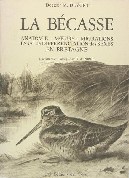 La bécasse.