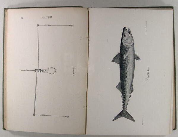 SEA-FISH ; an account of the methods of angling as …