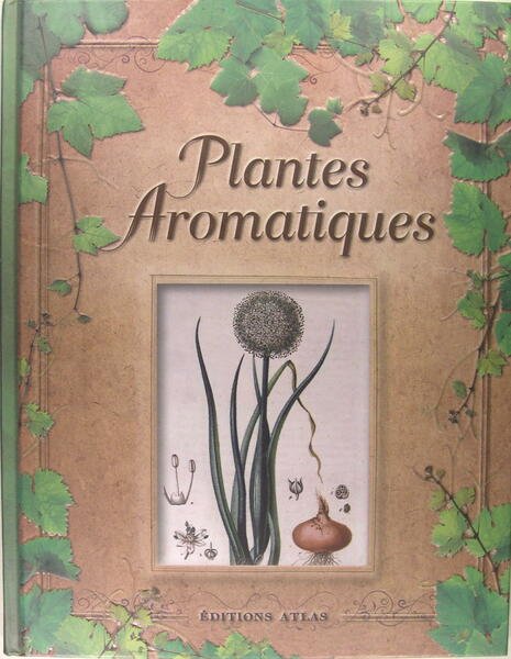 Plantes Aromatiques