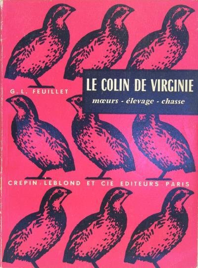 Le Colin de Virginie