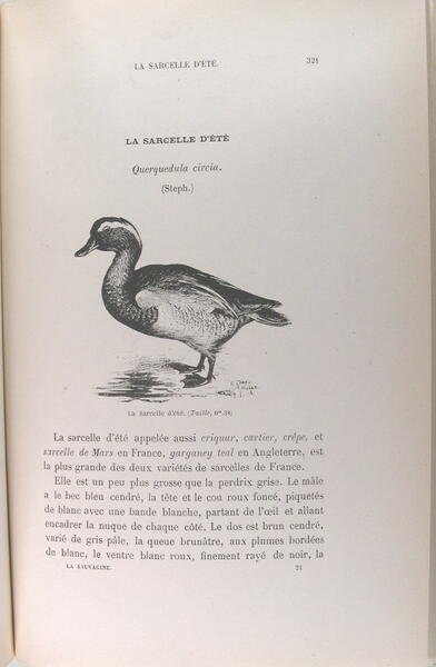 Nos oiseaux de mer, de rivière et de marais - …