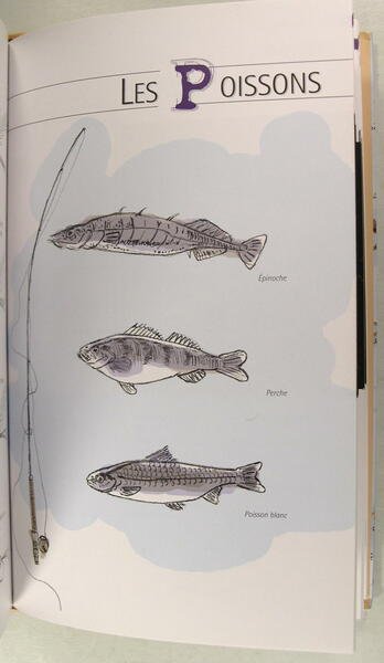 Guide du monteur de mouches