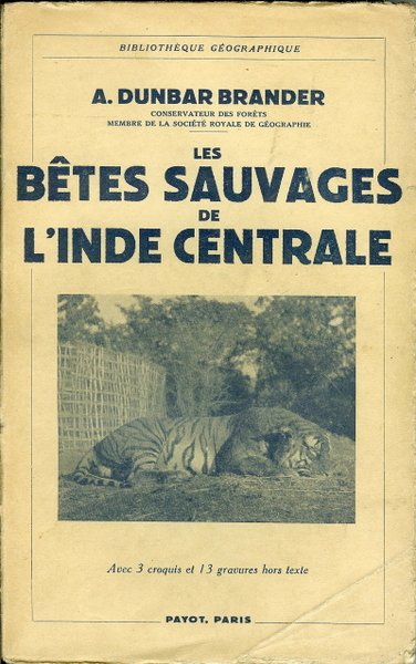 Les bêtes sauvages de l’Inde Centrale