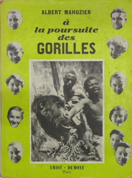 A la poursuite des gorilles