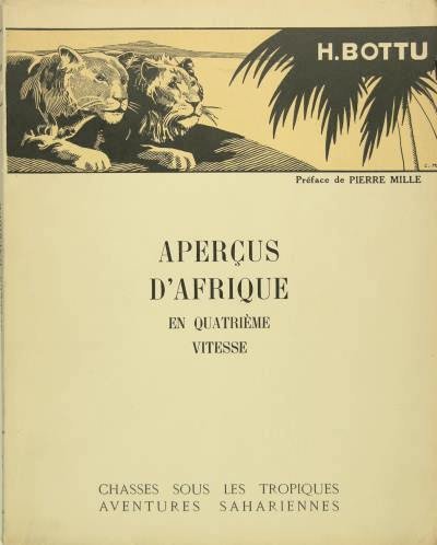 Aperçus d'Afrique en quatrième vitesse.