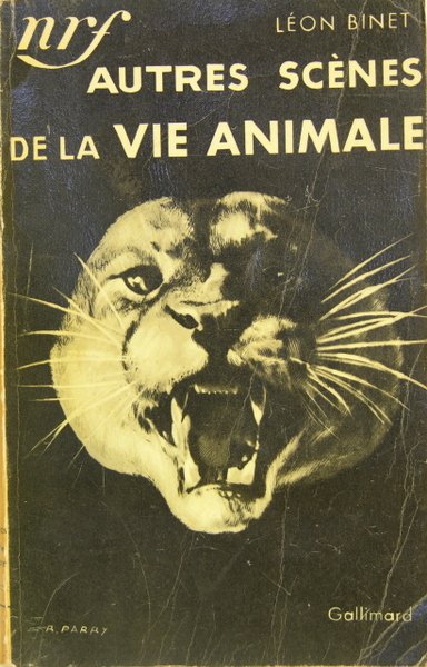 AUTRES SCENES DE LA VIE ANIMALE. Voyage en Amérique du …