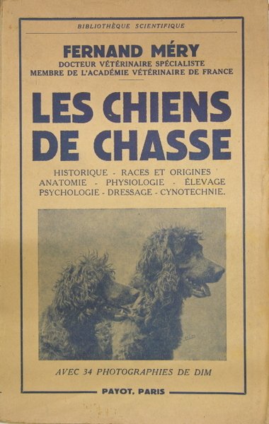 LES CHIENS DE CHASSE