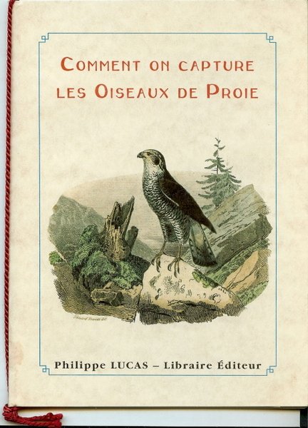 Comment on capture les oiseaux de proie