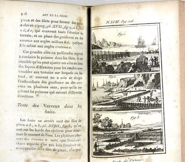 Pisciceptologie, ou l’art de la pêche à la ligne ; …