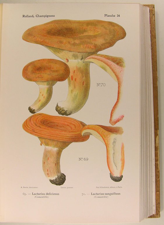 Atlas des champignons de France, Suisse et Belgique.