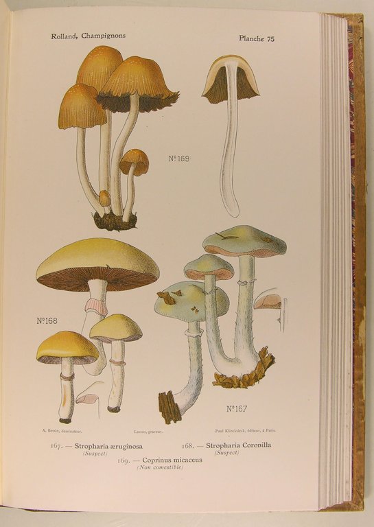 Atlas des champignons de France, Suisse et Belgique.