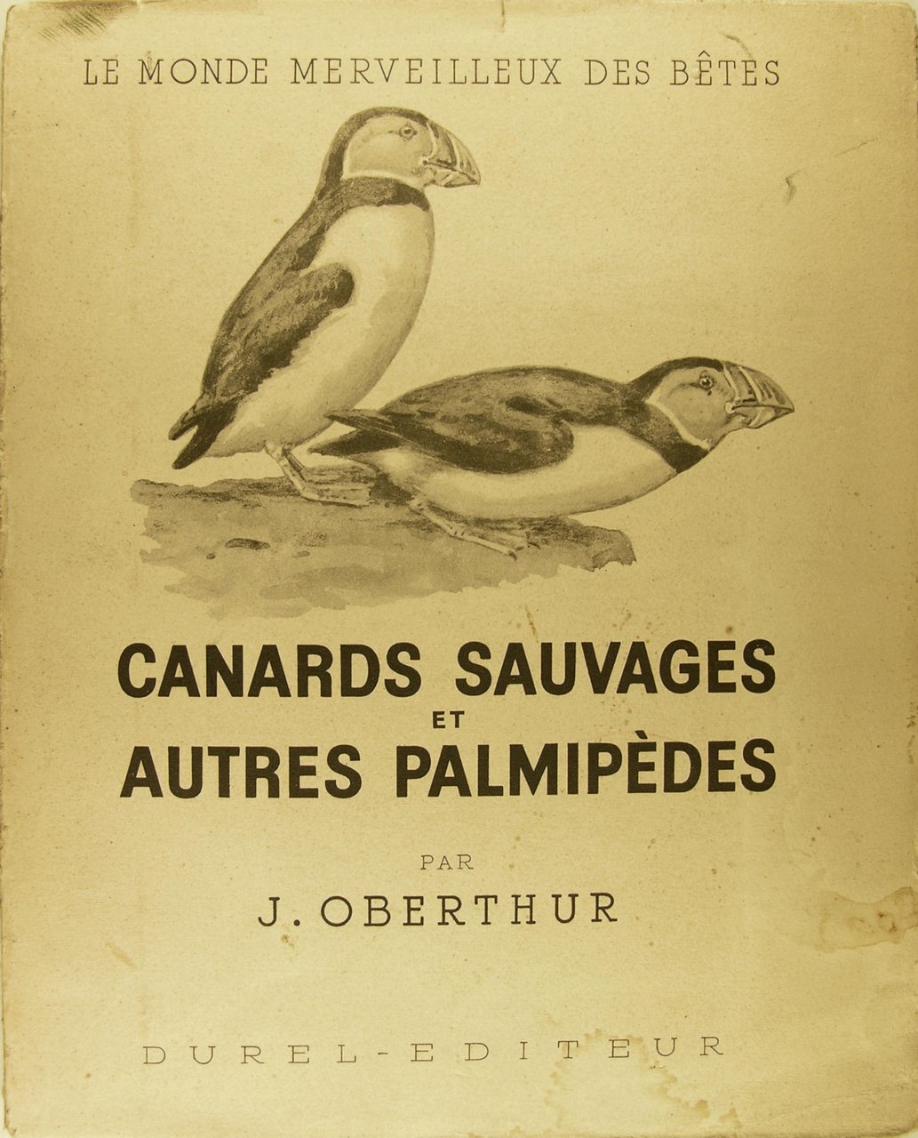 Canards sauvages et autres palmipèdes. T II.