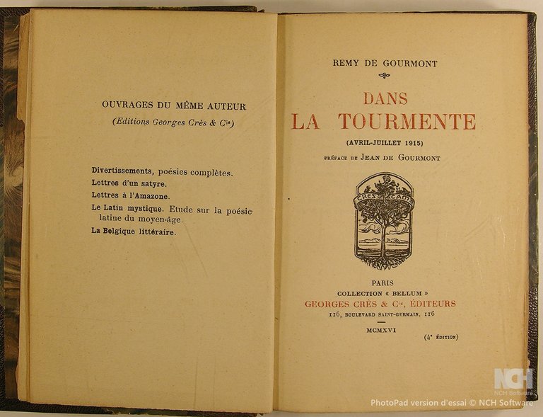 Dans la tourmente (Avril-Juillet 1915).