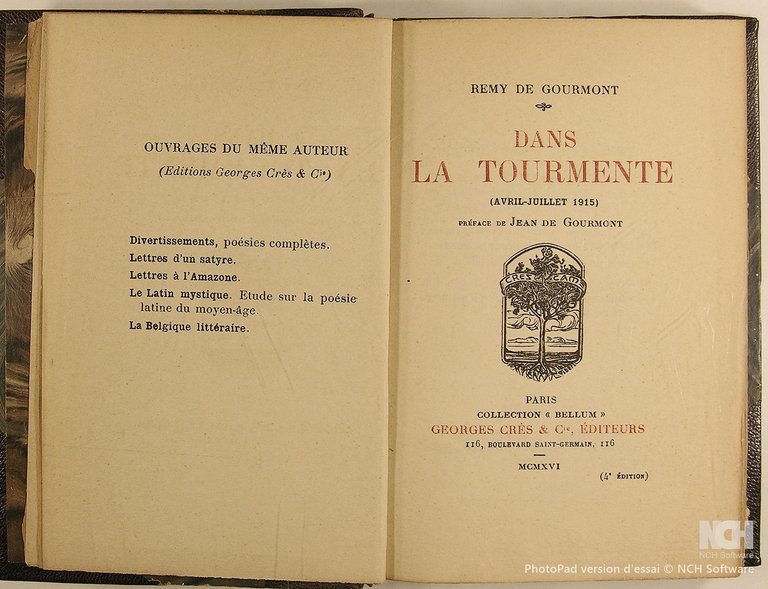 Dans la tourmente (Avril-Juillet 1915).