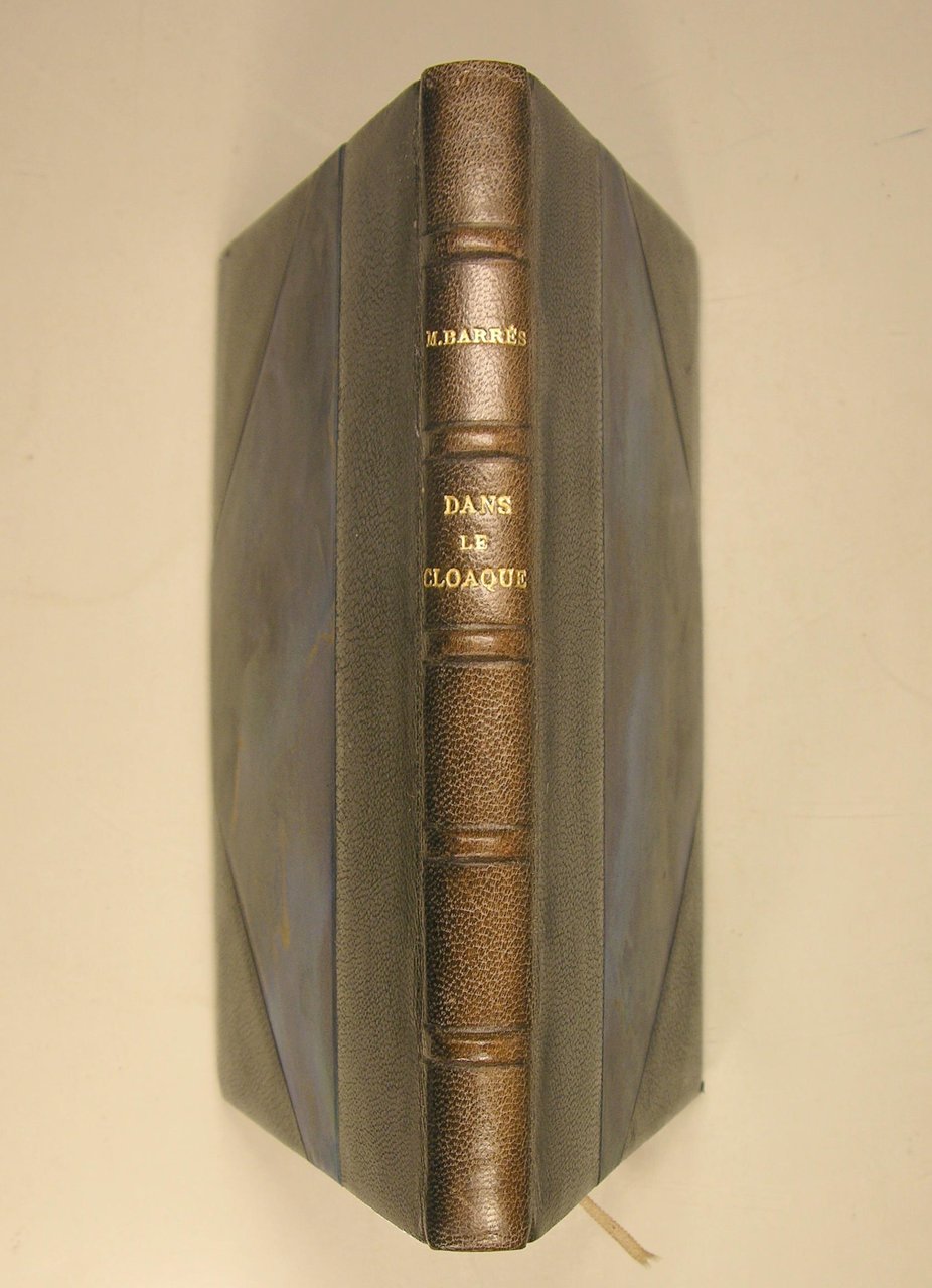Dans le cloaque
