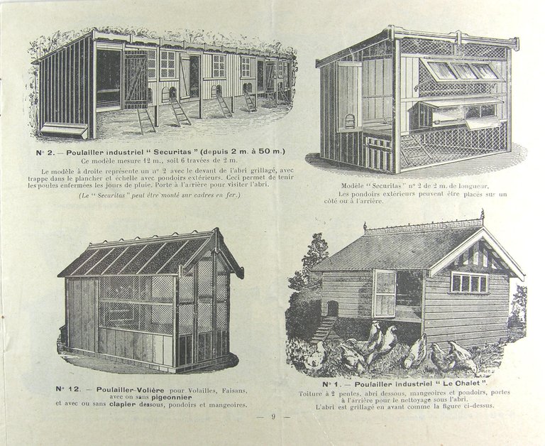 Elevage avicole de la Croix Blanche | Immagine Gallery 4