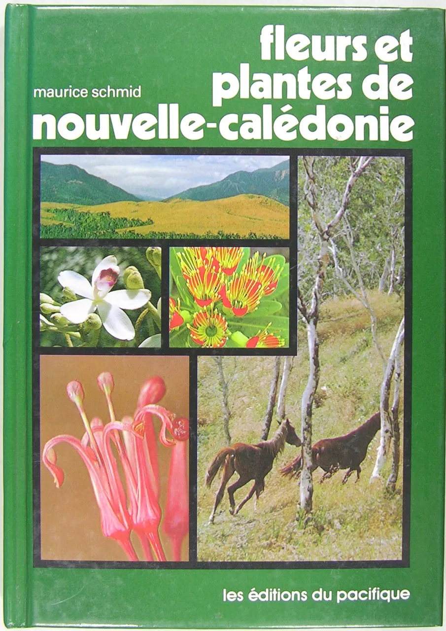 Fleurs et plantes de Nouvelle-Calédonie. | Immagine principale