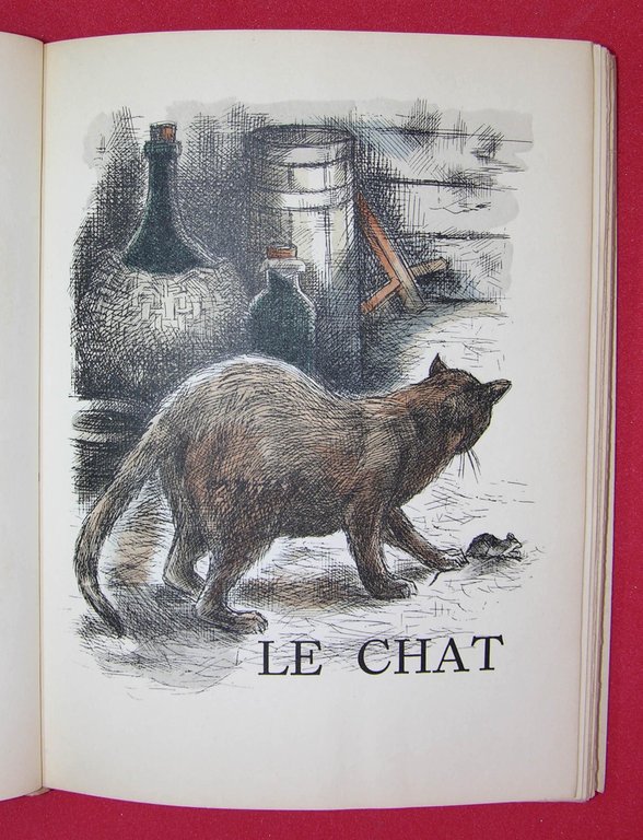 Histoires Naturelles