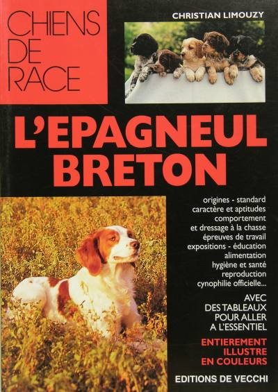 L’épagneul breton | Immagine Gallery 2