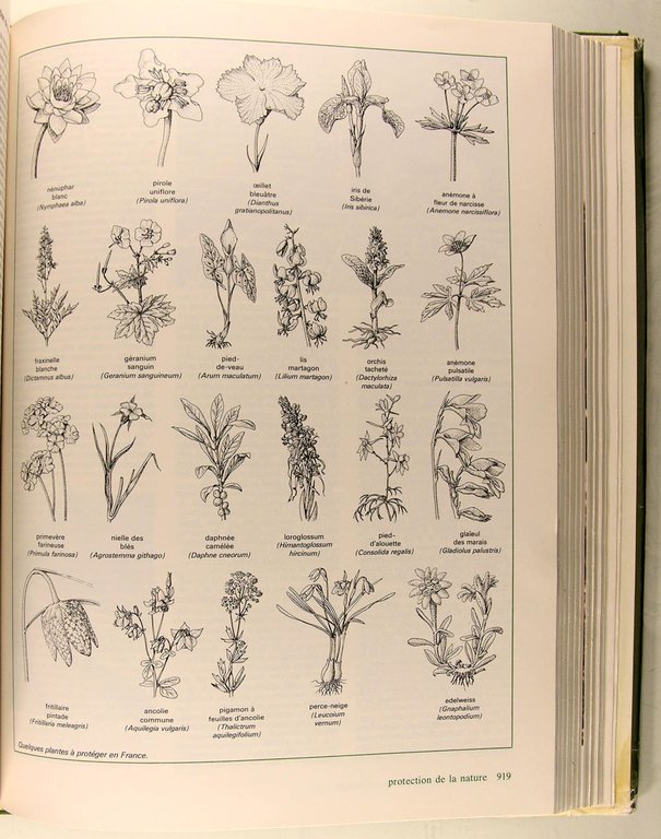 Larousse Agricole