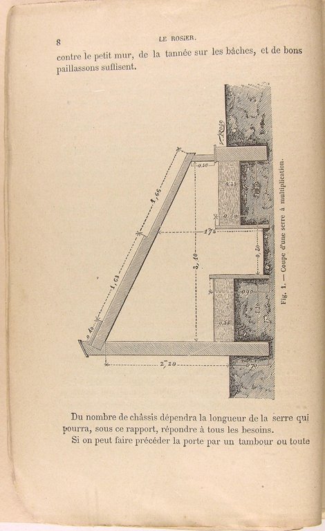 Le rosier - Culture et multiplication.