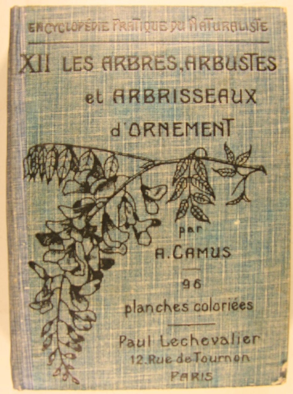 Les Arbres, Arbustes et Arbrisseaux, d'ornement.